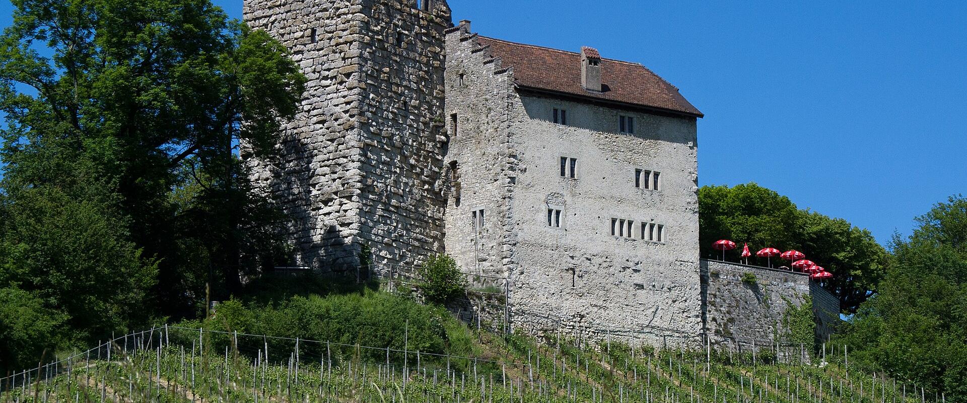 Habsburg Castle on its wooded hilltop in Aargau