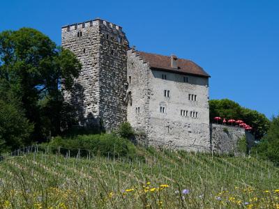 Habsburg Castle on its wooded hilltop in Aargau