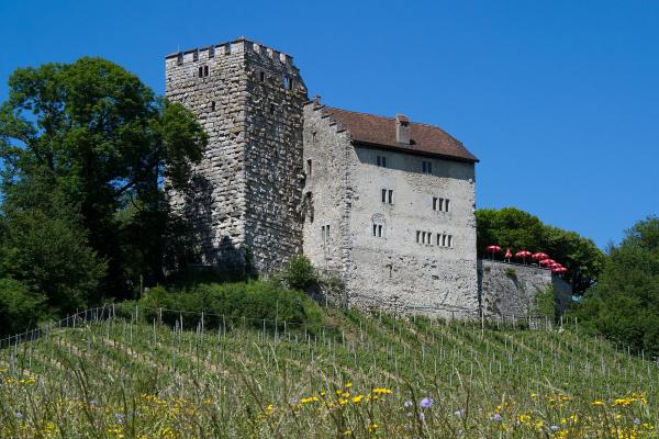 Hilltop Castles Of Aargau