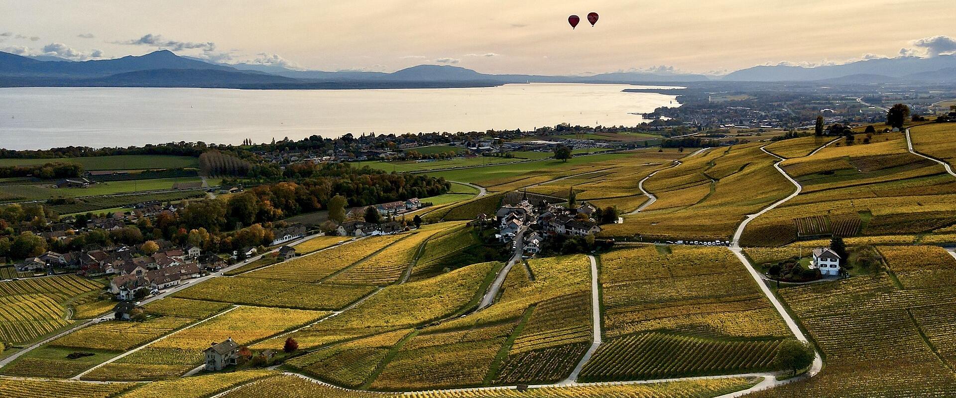 SwissWineRegionVaud