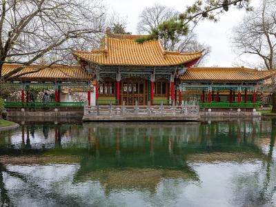 The pavilion of the Chinese Garden in Zürich reflected in its pond