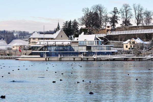 Vineyards Of Rapperswil-Jona