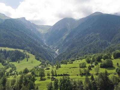 A scenic landscape photograph showing a green alpine valley with forested slopes, scattered chalets, and mountains under a cloudy sky.