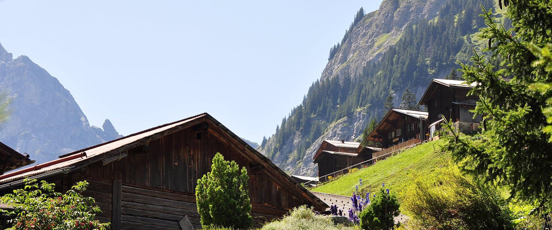 Wooden chalets on the alpine meadows of Gimmelwald