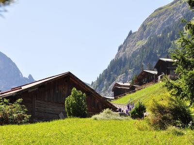 Wooden chalets on the alpine meadows of Gimmelwald