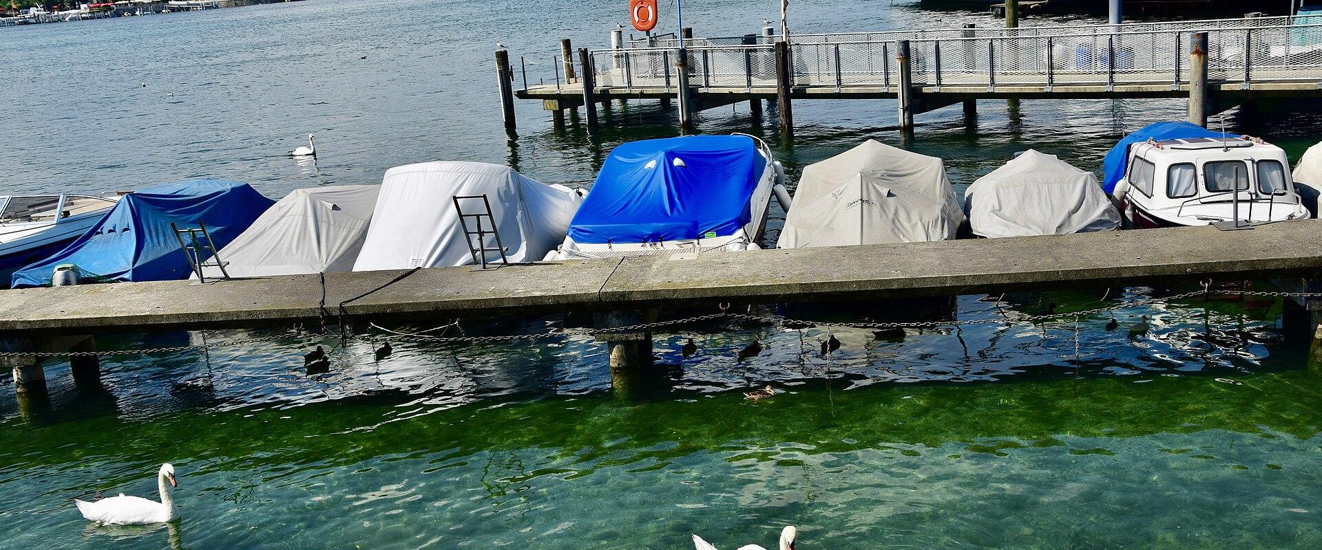 River Rafting & Canoeing In The Heart Of Geneva