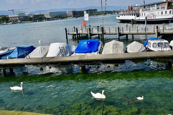 River Rafting & Canoeing In The Heart Of Geneva