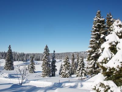 Jura Hiver 2008