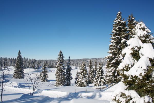 Jura Hiver 2008