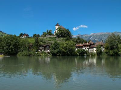 The small Werdenbergersee lake with the old town and Werdenberg Castle on the hill above, under a blue summer sky