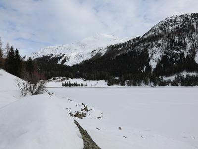 A wide, snow-covered frozen lake in a valley surrounded by steep, forested mountains and a few scattered chalets.