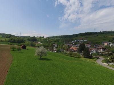 A scenic landscape view of a small Swiss village nestled in a green valley with rolling hills, a blooming tree in the foreground, and power lines in the distance.