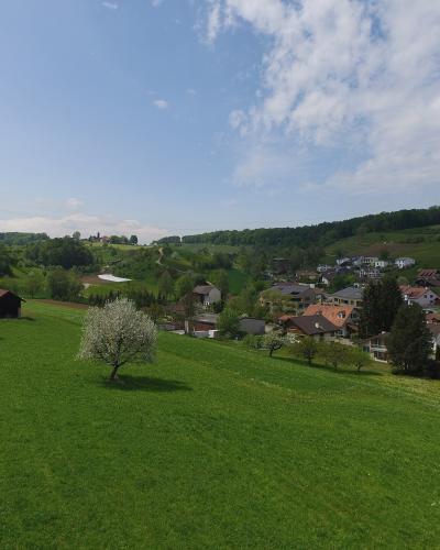 A scenic landscape view of a small Swiss village nestled in a green valley with rolling hills, a blooming tree in the foreground, and power lines in the distance.