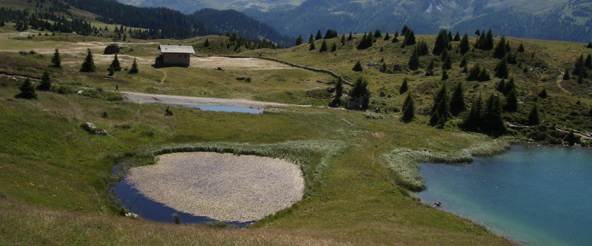 Small alpine lakes of Lais Blos on the Alp Flix plateau above Sur, Graubünden, with a hut and mountains beyond