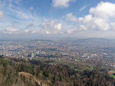 A panoramic landscape photograph taken from an elevated, forested hillside looking down over a sprawling urban cityscape with a large body of water and distant mountains on the horizon.