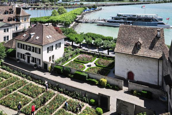 Roses & 'Rose Town' Of Rapperswil-Jona
