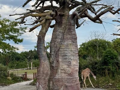 The image shows a large, artificial baobab tree structure in an outdoor zoo enclosure, with a rhinoceros in the foreground and a giraffe grazing in the background under a cloudy sky.