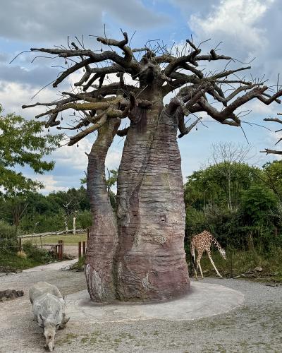 The image shows a large, artificial baobab tree structure in an outdoor zoo enclosure, with a rhinoceros in the foreground and a giraffe grazing in the background under a cloudy sky.