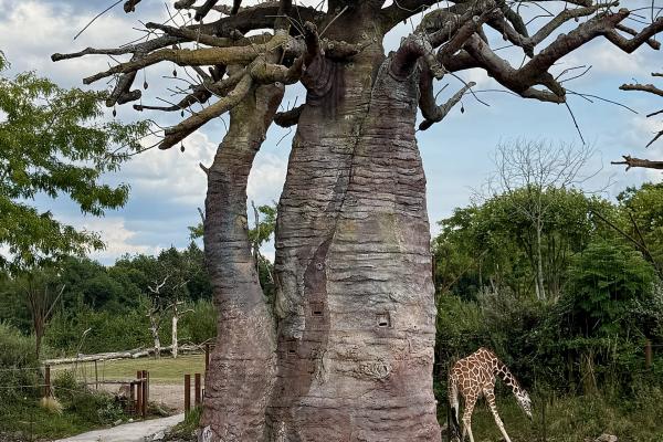 Zurich Zoo