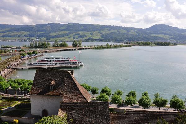 Roses & 'Rose Town' Of Rapperswil-Jona