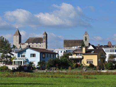 A view of the Rapperswil castle complex (Schloss Rapperswil) with its distinctive towers and the Stadtpfarrkirche St. Johann, seen from across a grassy field with residential houses in the foreground.