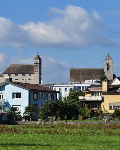 A view of the Rapperswil castle complex (Schloss Rapperswil) with its distinctive towers and the Stadtpfarrkirche St. Johann, seen from across a grassy field with residential houses in the foreground.