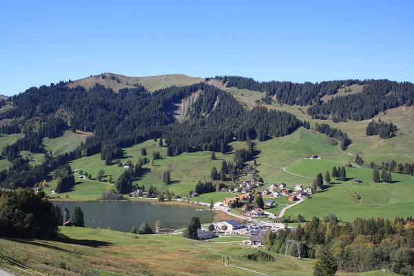 Ice Skating / Ice Hockey (Lac Noir Schwarzsee)