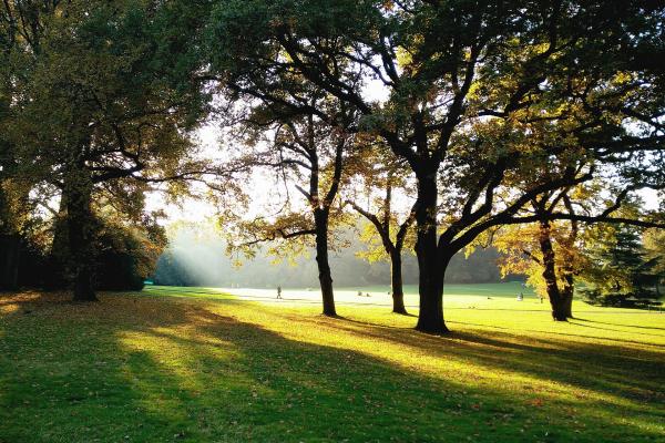 Parc La Grange (The Grange Park)