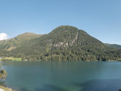 Davos