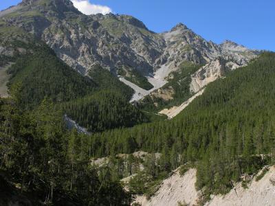 Swiss National Park 010