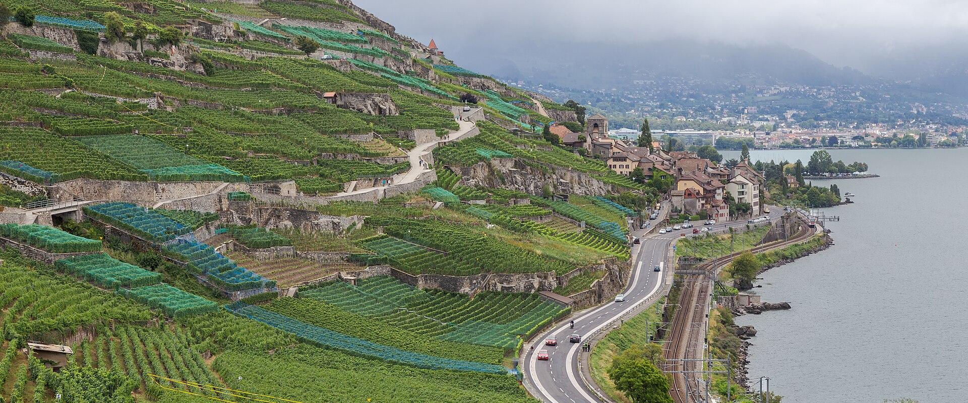 A view of steep, terraced vineyards cascading down a hillside next to a large lake, with a road, railway tracks, and a small village visible along the shore.