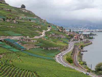 A view of steep, terraced vineyards cascading down a hillside next to a large lake, with a road, railway tracks, and a small village visible along the shore.