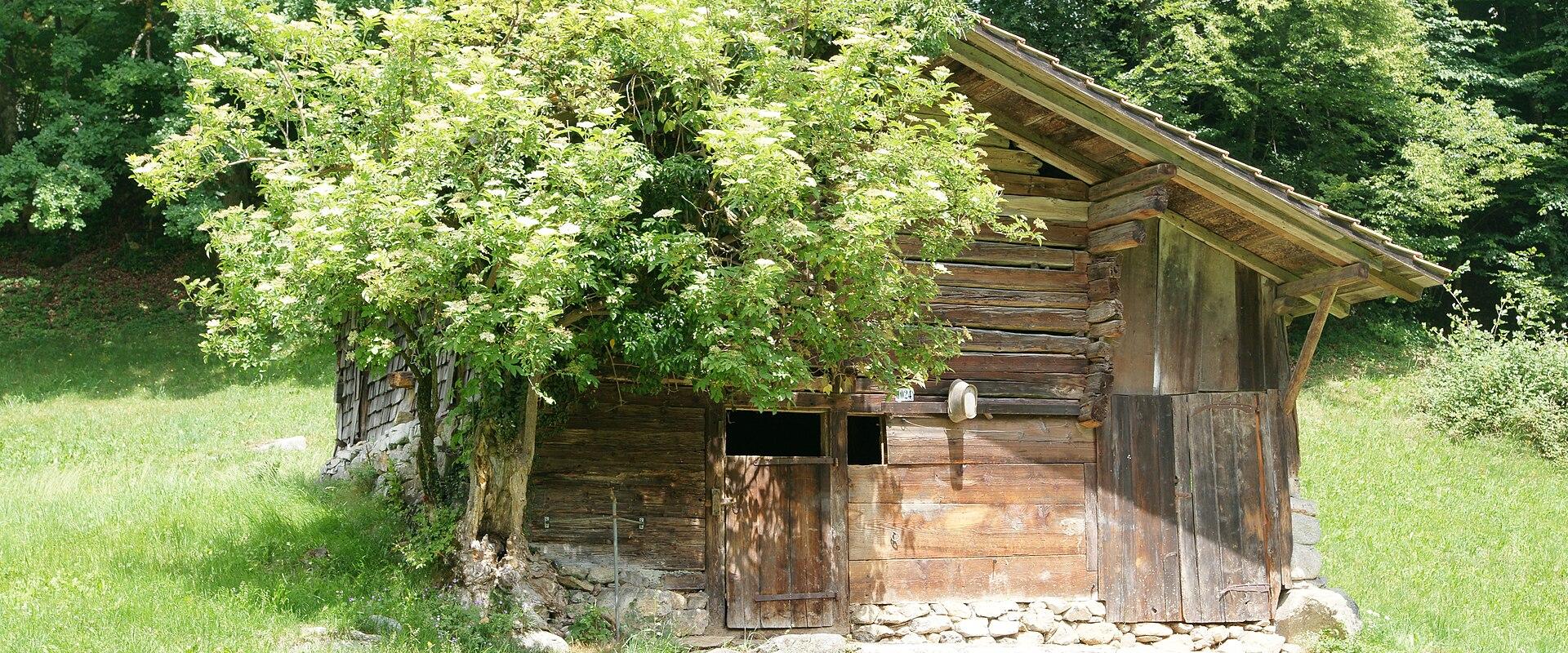 A traditional wooden chalet at the Ballenberg open-air museum by Brienzwiler