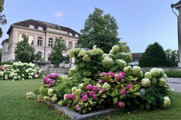 ETH Zurich, Swiss Federal Institute of Technology, Zurich University (Ank Kumar) 05