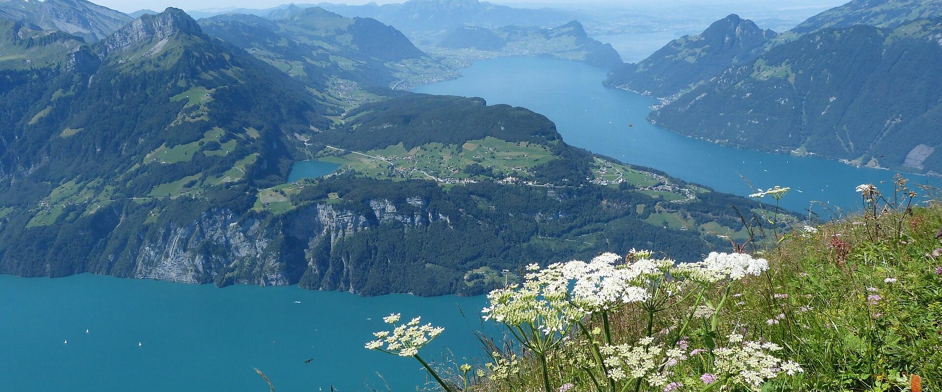 Seelisberg