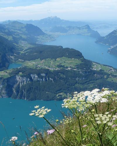 Fronalpstock-Seelisberg