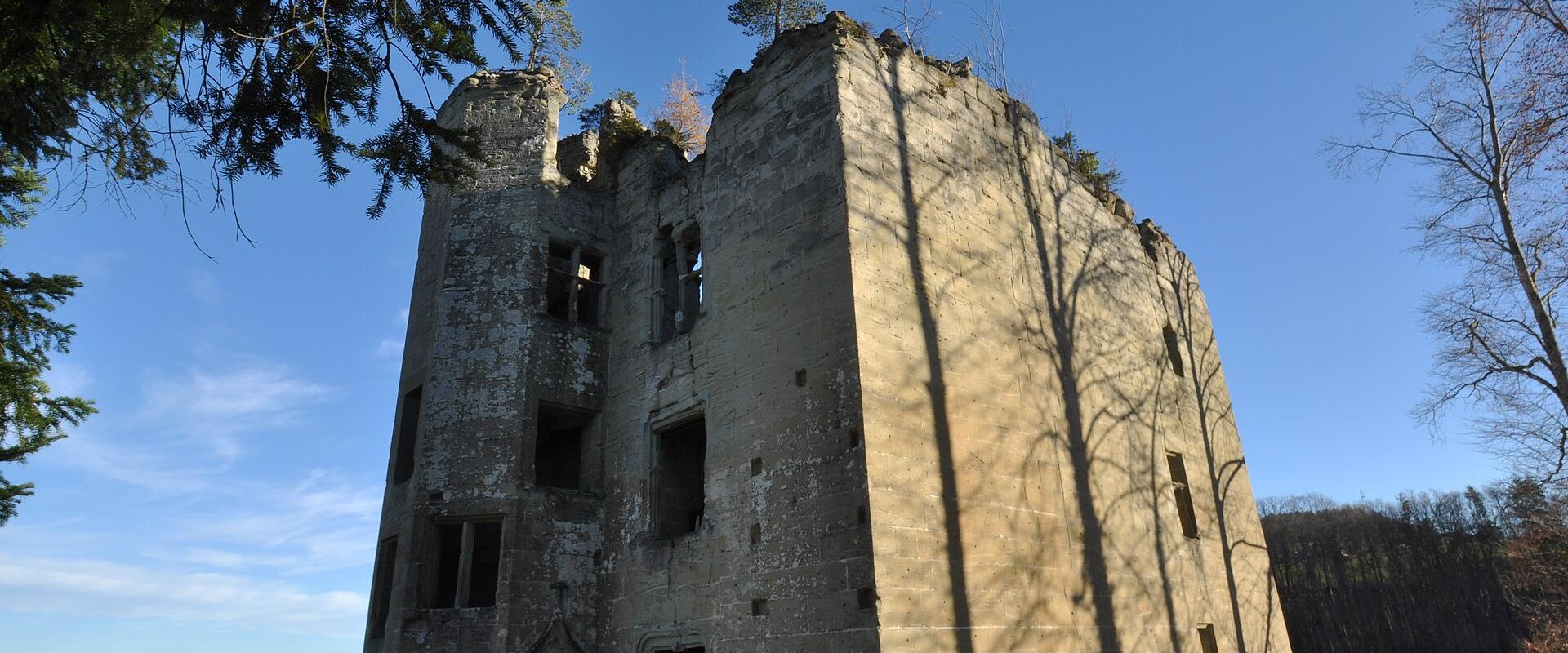 The ruined keep of Illens Castle above the Saane
