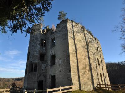The ruined keep of Illens Castle above the Saane