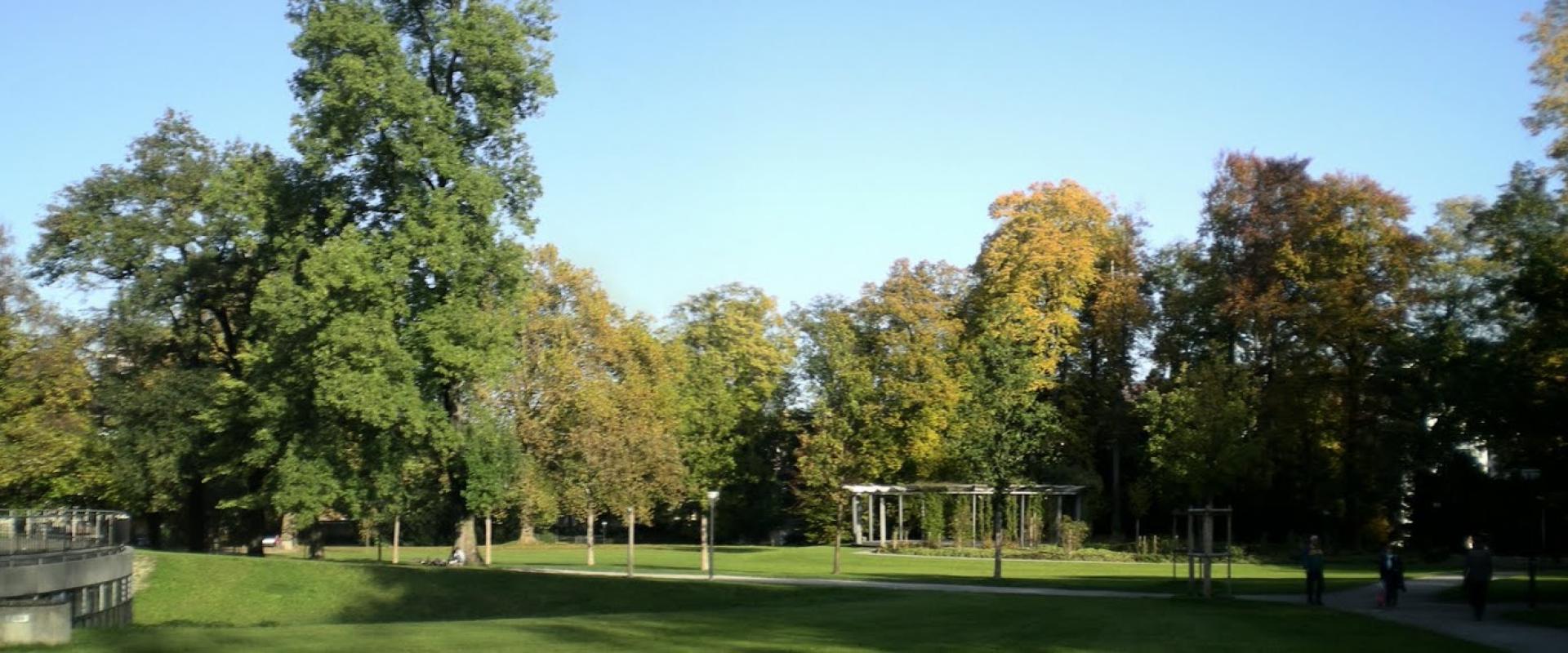 Lawns and old trees in the Stadtpark of St. Gallen