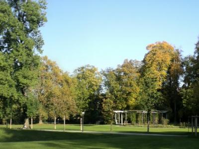 Lawns and old trees in the Stadtpark of St. Gallen