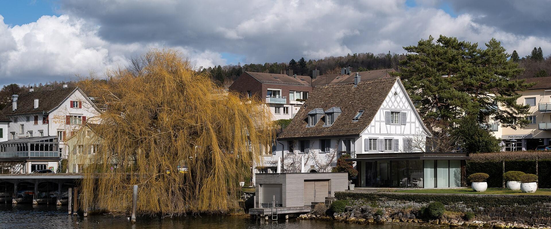 Lakeside houses and a weeping willow at Küsnacht on Lake Zurich