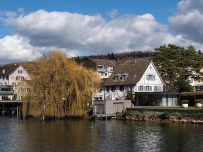 Lakeside houses and a weeping willow at Küsnacht on Lake Zurich
