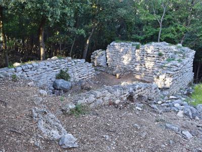 The image shows the stone ruins of a small, rectangular structure with low walls, situated in a wooded area with trees and undergrowth surrounding the site.