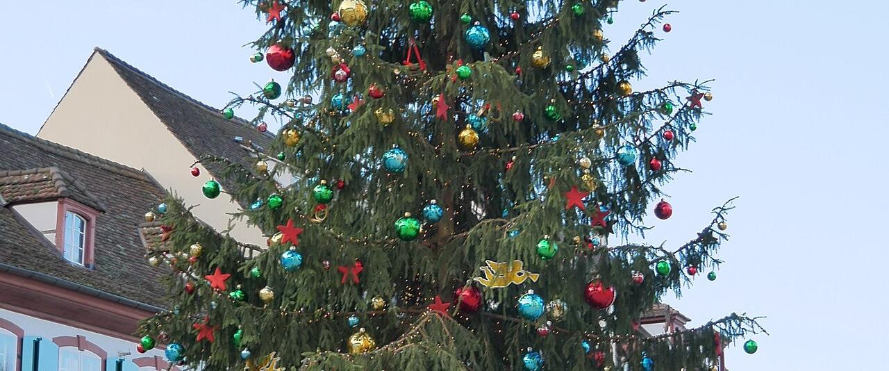 The decorated Christmas tree on Münsterplatz in Basel's old town