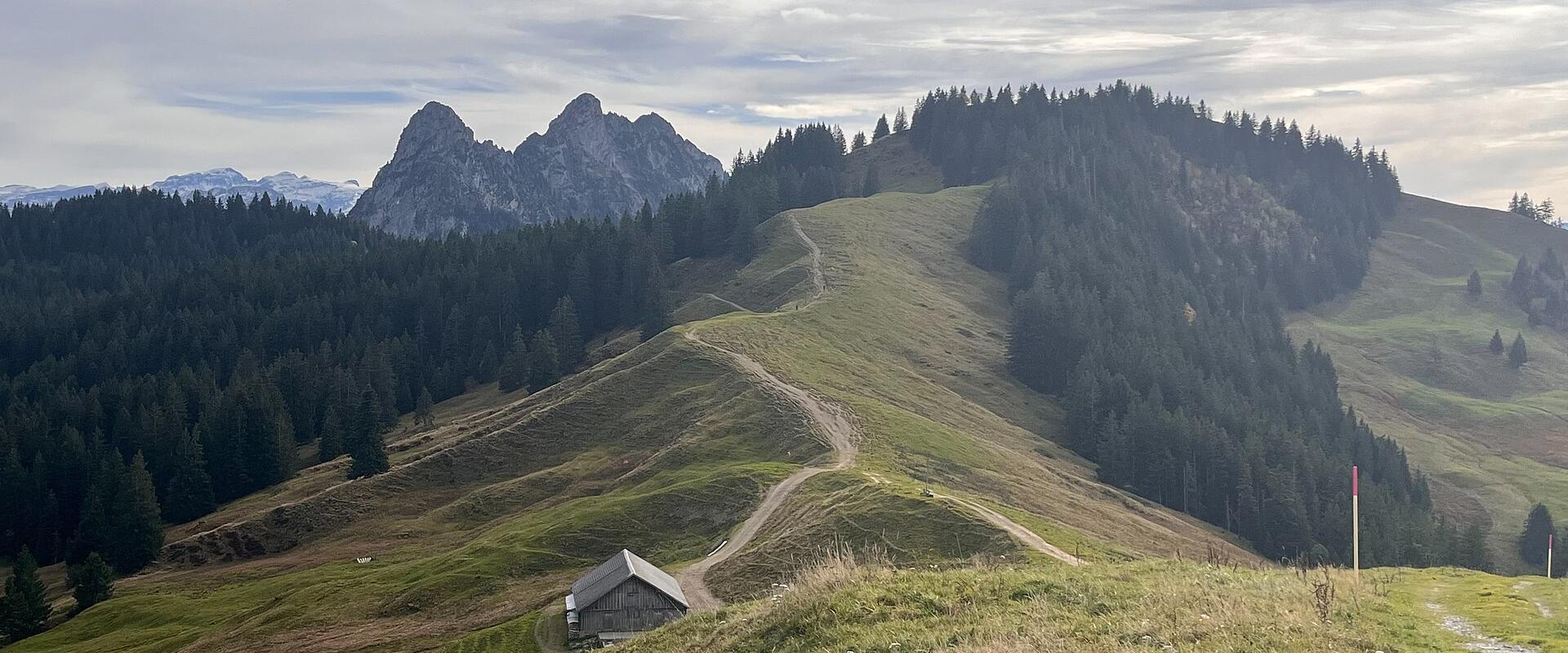 Grassy ridge path on the Hochstuckli above Sattel, with forested hills and the Mythen peaks beyond