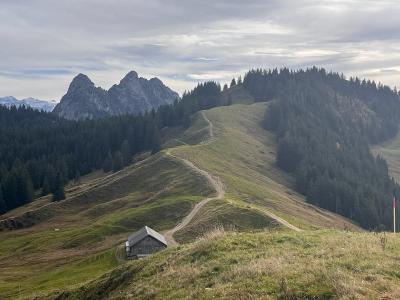 Grassy ridge path on the Hochstuckli above Sattel, with forested hills and the Mythen peaks beyond