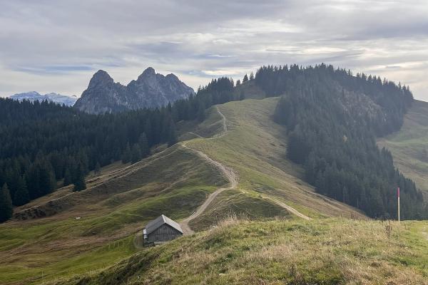 Sattel-Hochstuckli
