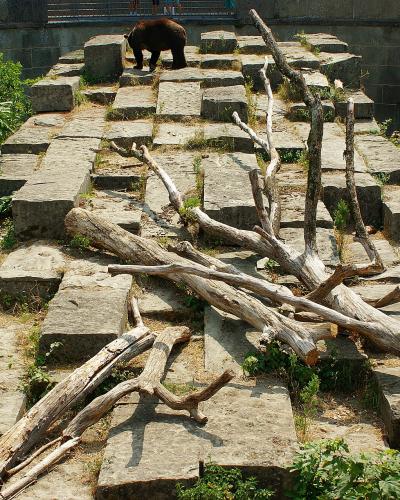 A brown bear stands on a stone-paved enclosure featuring a grid of large rectangular blocks and scattered driftwood, surrounded by green vegetation and a high stone wall.