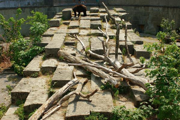 Bear Pit