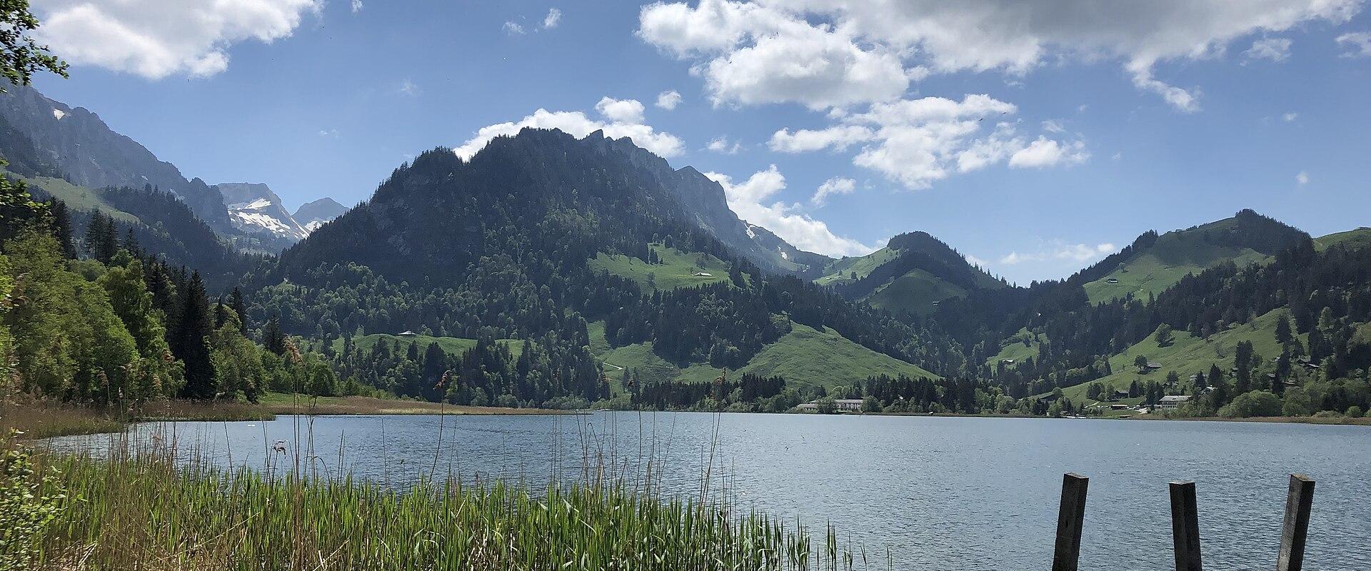 Lake Schwarzsee in the Fribourg Prealps with reeds in the foreground and green mountains behind